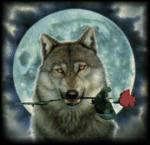 In loved Wolf