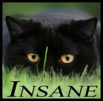 Insane_person
